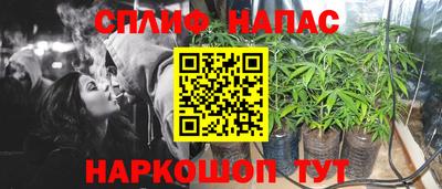 крисы Пенза