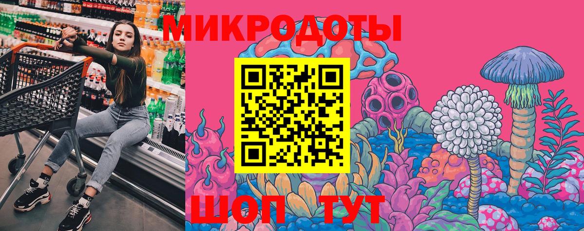 Псилоцибиновые грибы Psilocybe Пушкино